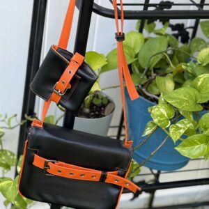 Morena and Mini Bags Pdf